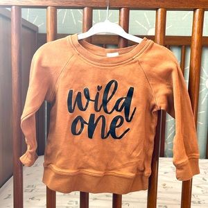 Wild One Baby sweatshirt